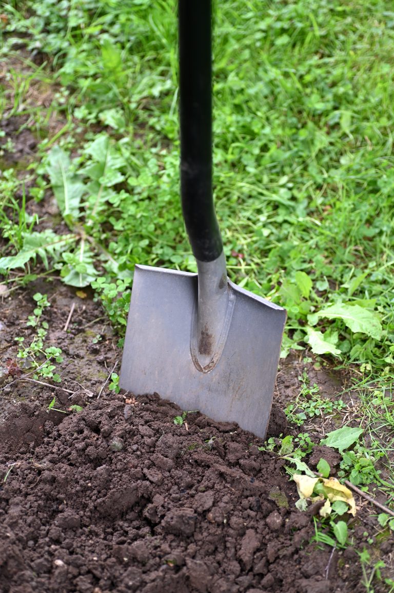 Neville Goddard Dig Your Ditches