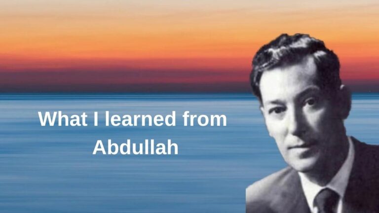 What I learned from Abdullah