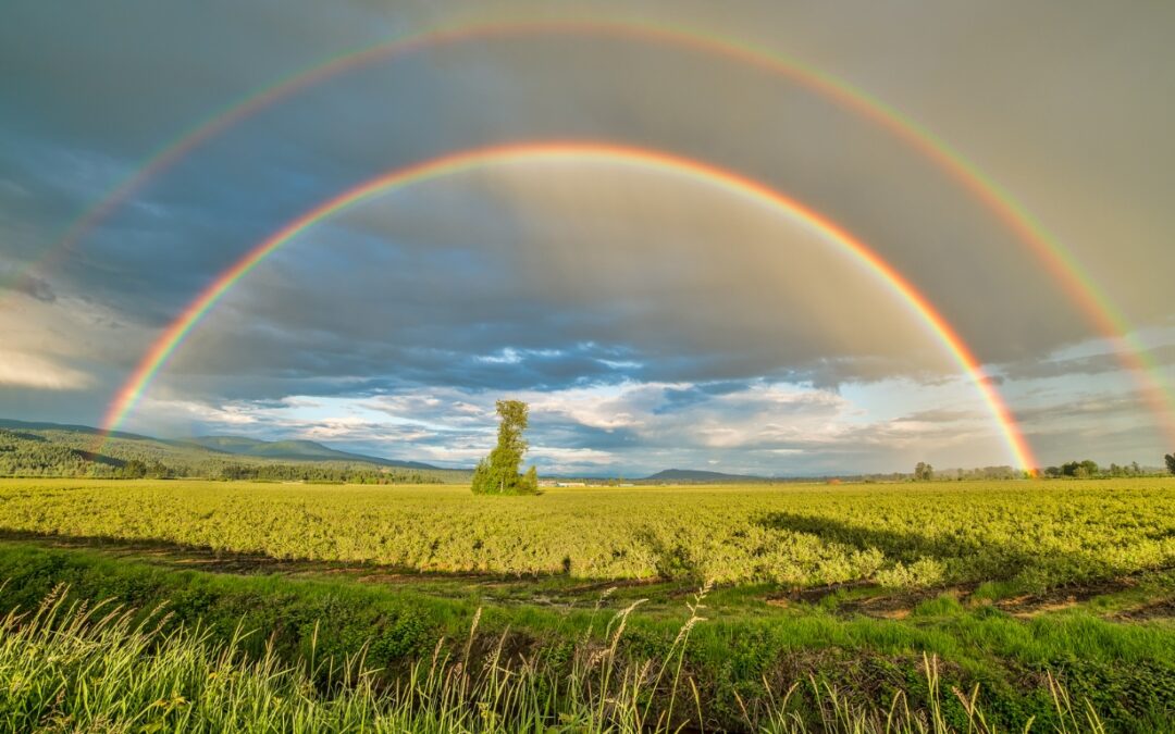 The Spiritual Meaning of a Rainbow: Unveiling the Majestic Spectrum of Hope and Transformation