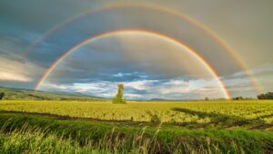 The Spiritual Meaning of a Rainbow