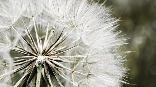 Conscious manifestation intention and inner state